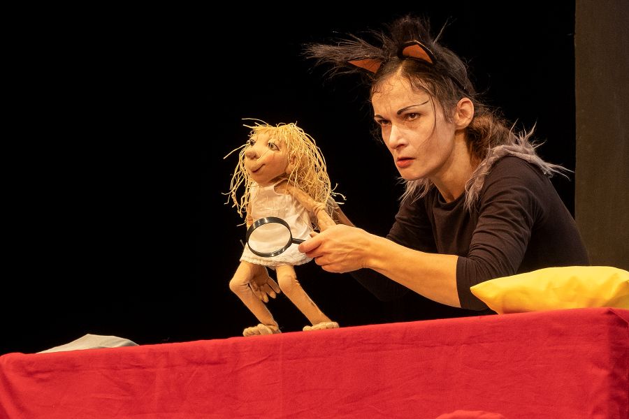 Tiffy und Kater blicken suchend in die Ferne